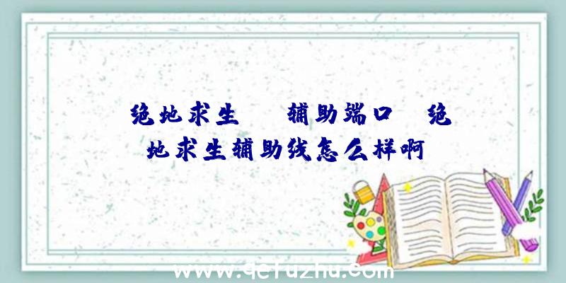 「绝地求生LPL辅助端口」|绝地求生辅助线怎么样啊